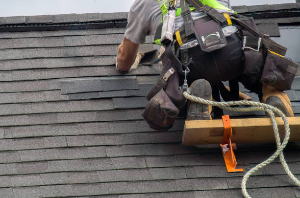 Best Green or Eco-Friendly Roofing Solutions  in Mcewen, TN
