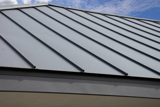 Best Roof Coating and Sealing  in Mcewen, TN
