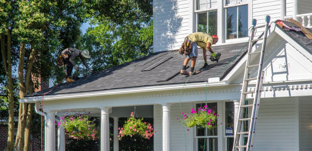 Best Roof Ventilation Installation  in Mcewen, TN